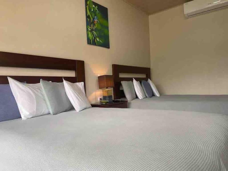 Lisa Loft Boutique Apartment La Fortuna Eksteriør bilde