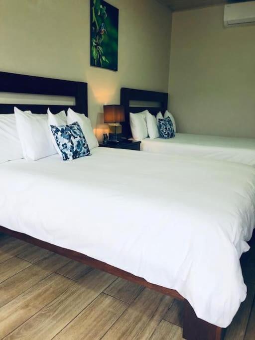 Lisa Loft Boutique Apartment La Fortuna Eksteriør bilde