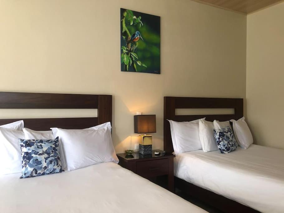 Lisa Loft Boutique Apartment La Fortuna Eksteriør bilde